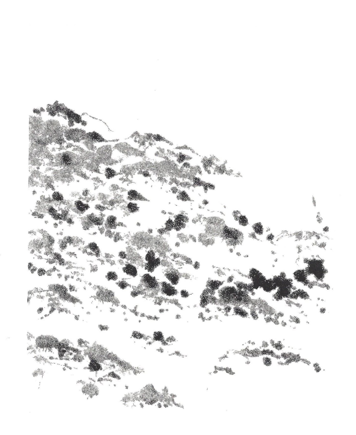 Errances — Clara Charrière