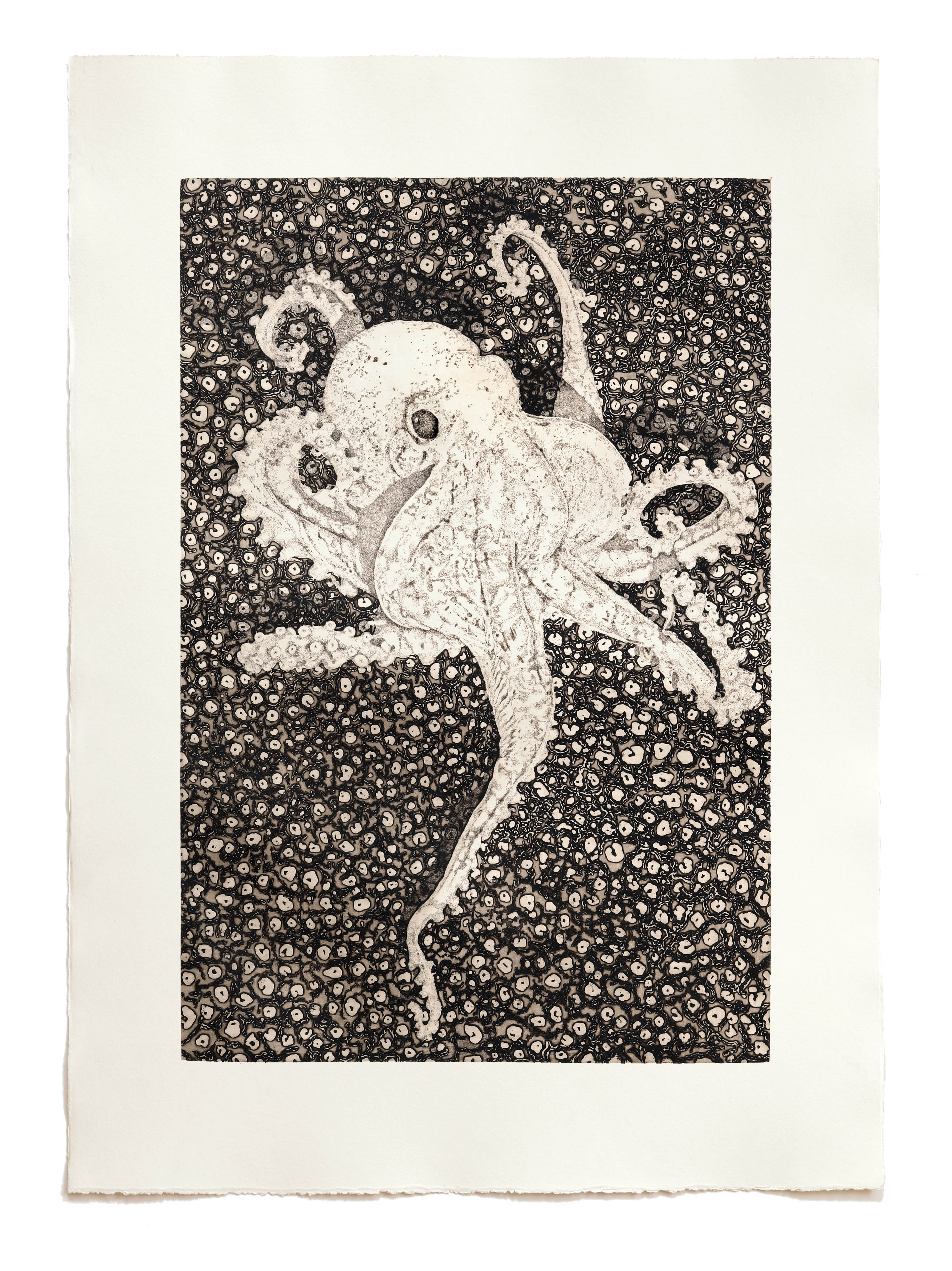 Marin – Octopus — Sabine Richter