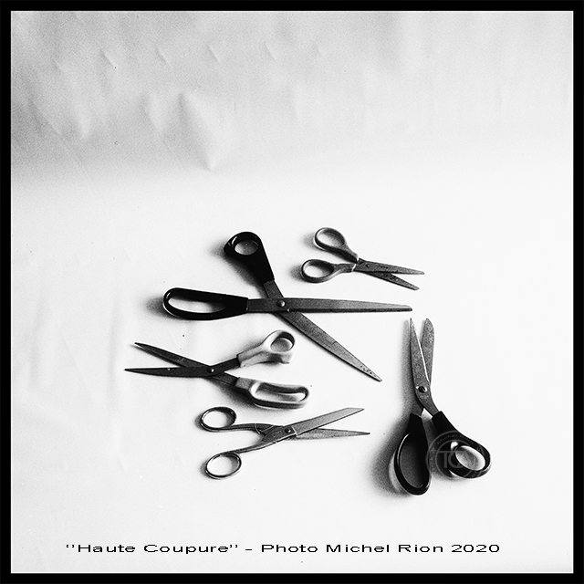 Haute coupure (argentique 6×6) — Terry Cobbs