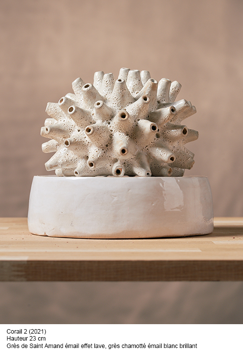 Corail — Marie Steib