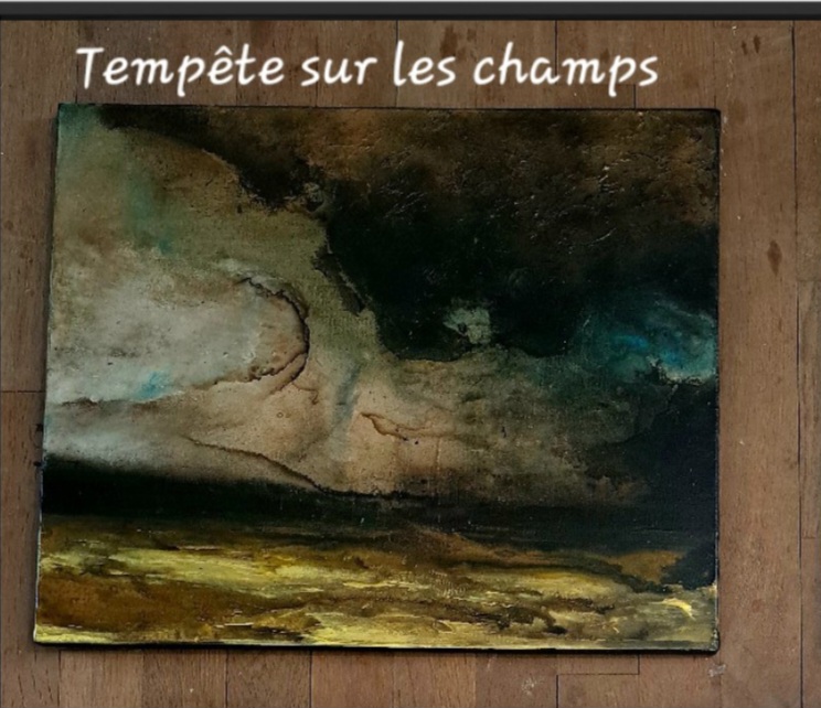 Tempête sur les champs — Carole Fournier