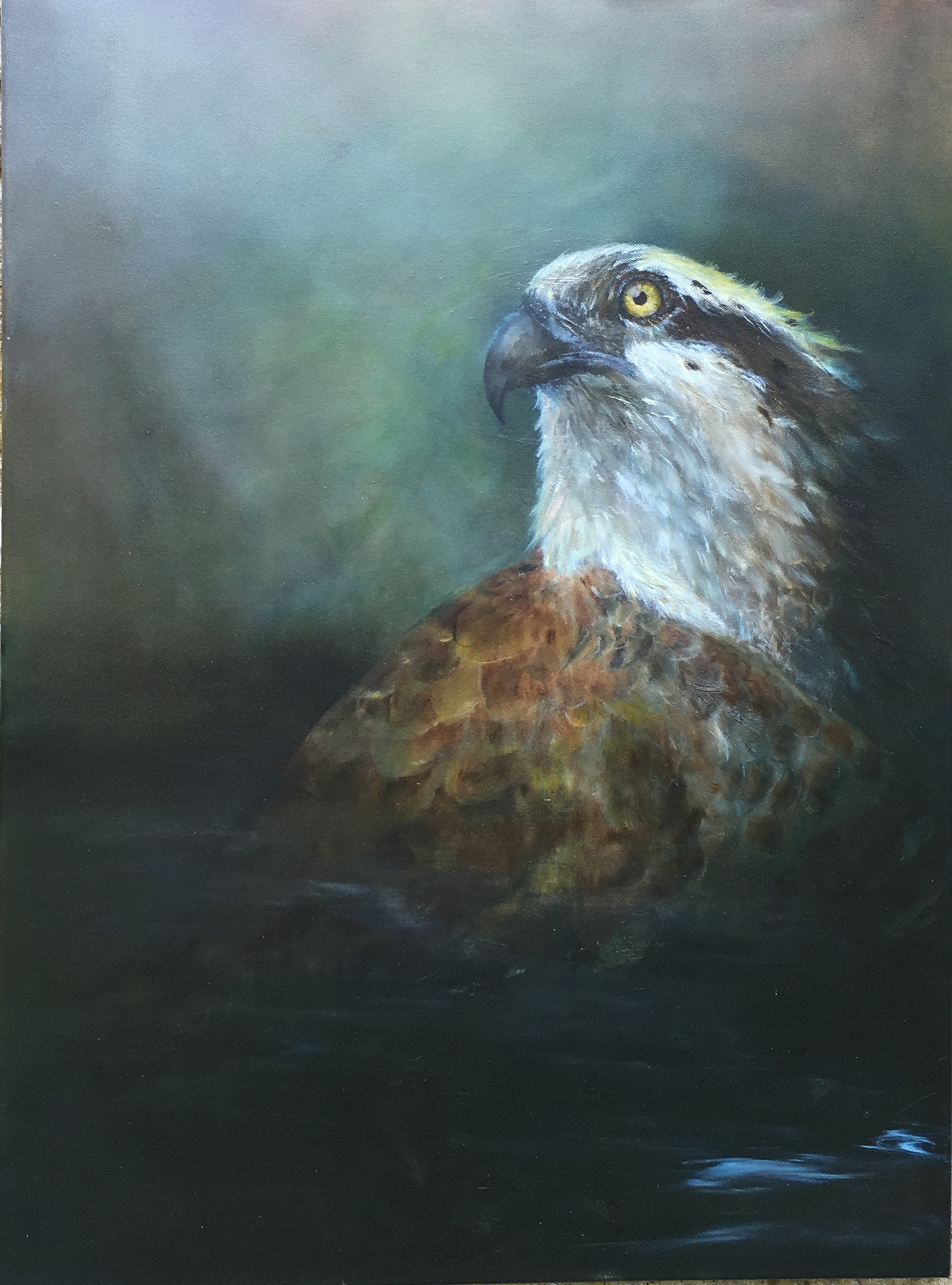 Balbuzard — Magali Batté Gauthier