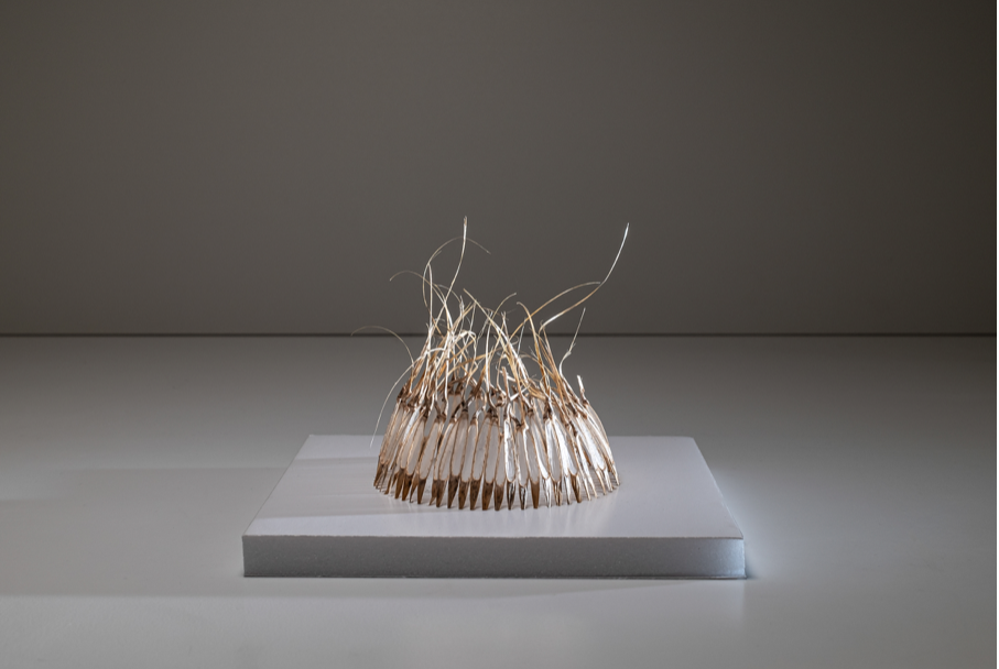 Visuel — titre non précisé — Anne Vigneux