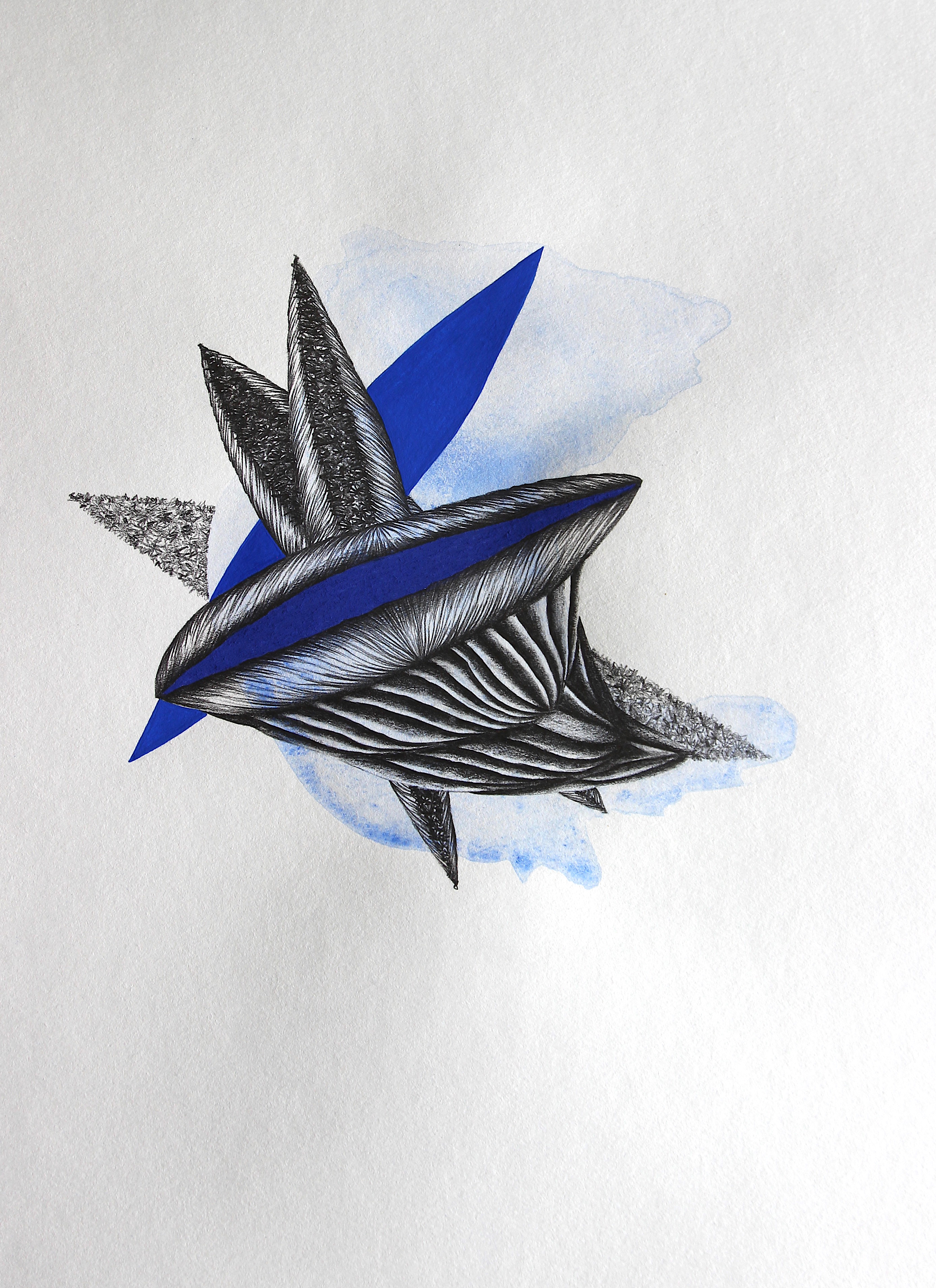 Visuel — titre non précisé — Léa Thomen