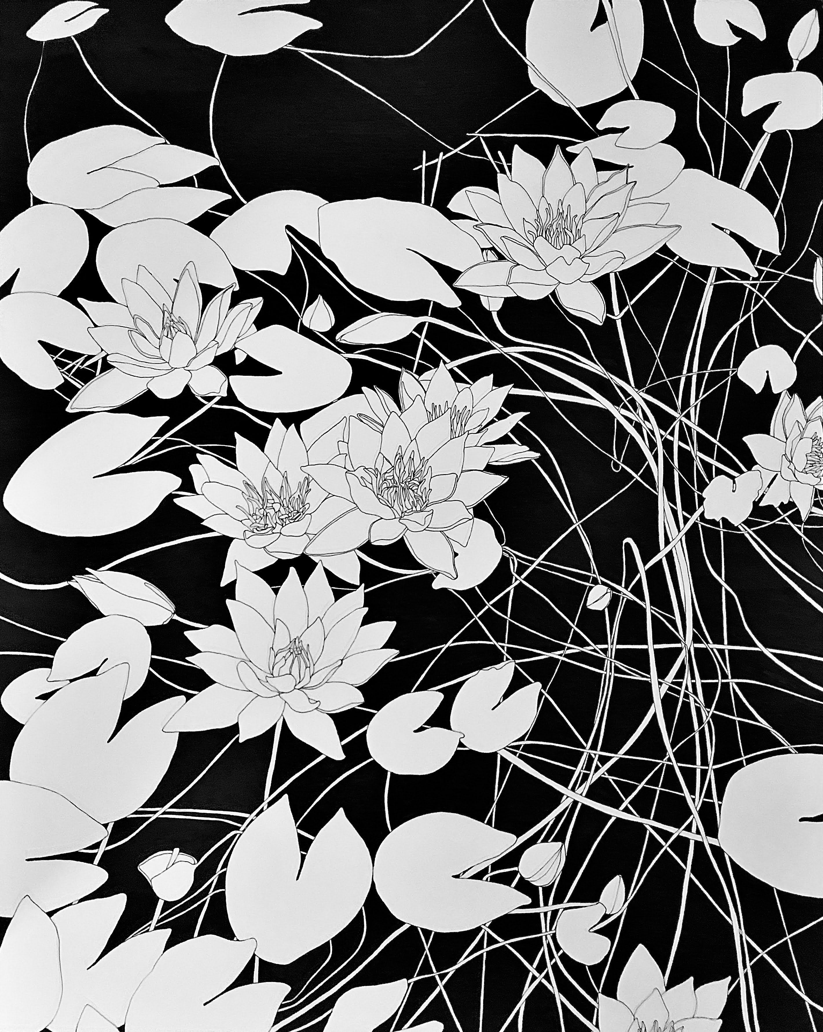 Visuel — titre non précisé — Sandrine Borgniet