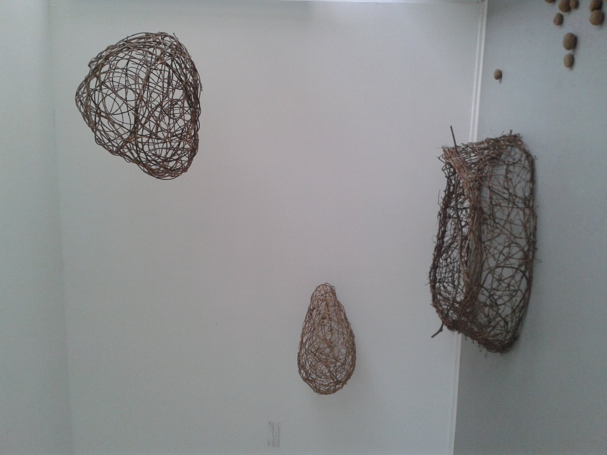 Les Sauvajoncs 2019-2020 Tressage de bois. Installation de l’exposition « Infiltrés de nature » — Caroline Prache