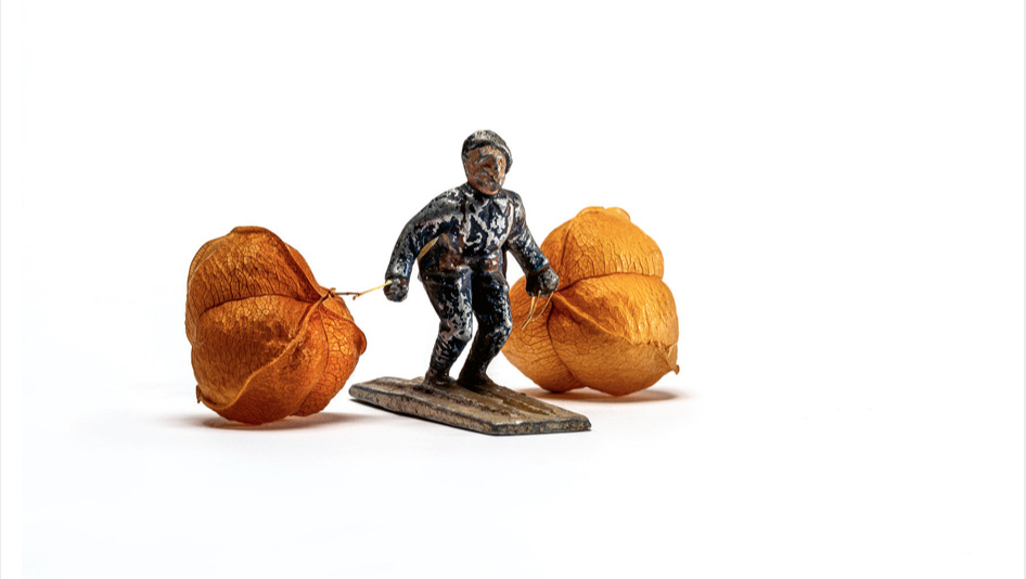 Visuel — titre non précisé — Anne Vigneux