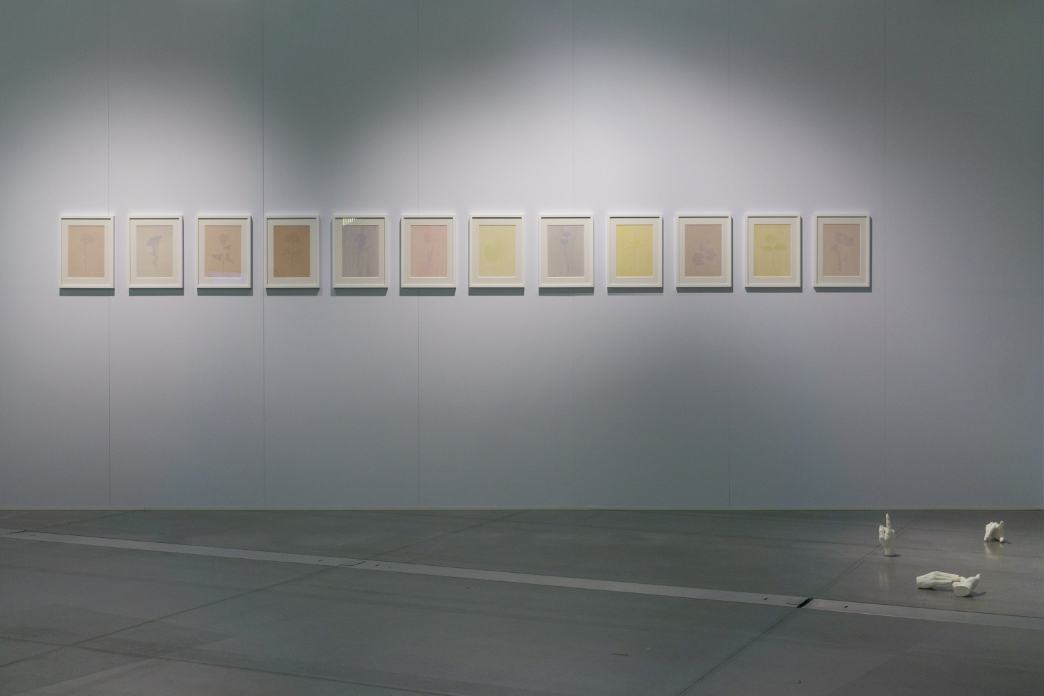 Visuel — titre non précisé — Anaïs Marion