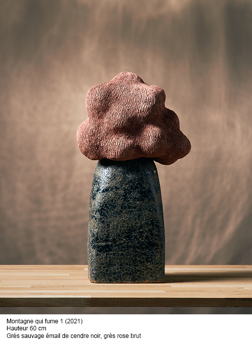 Montagne qui fume — Marie Steib
