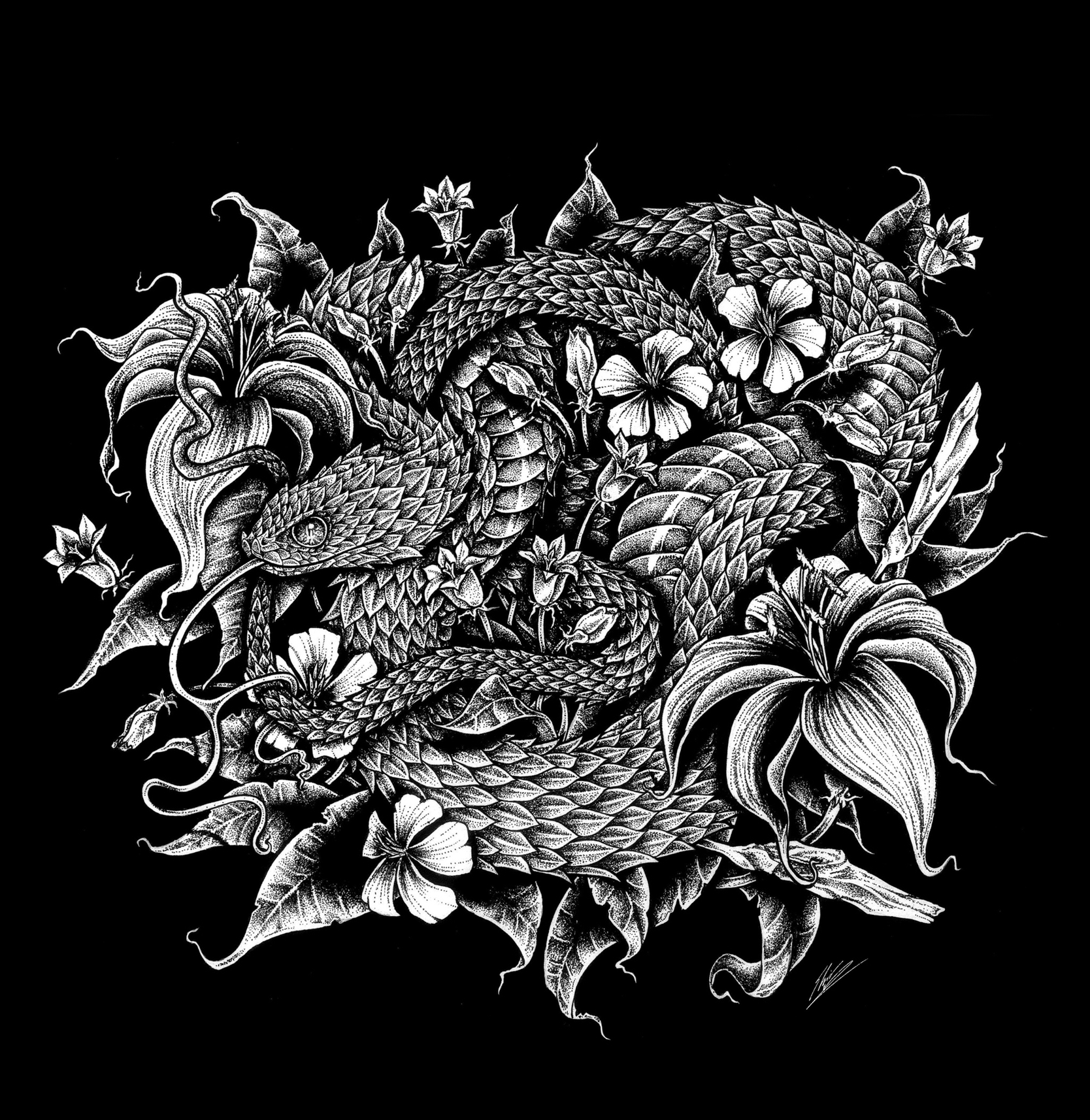 Atheris Squamigera. Encre de Chine — Élisabeth Noctem