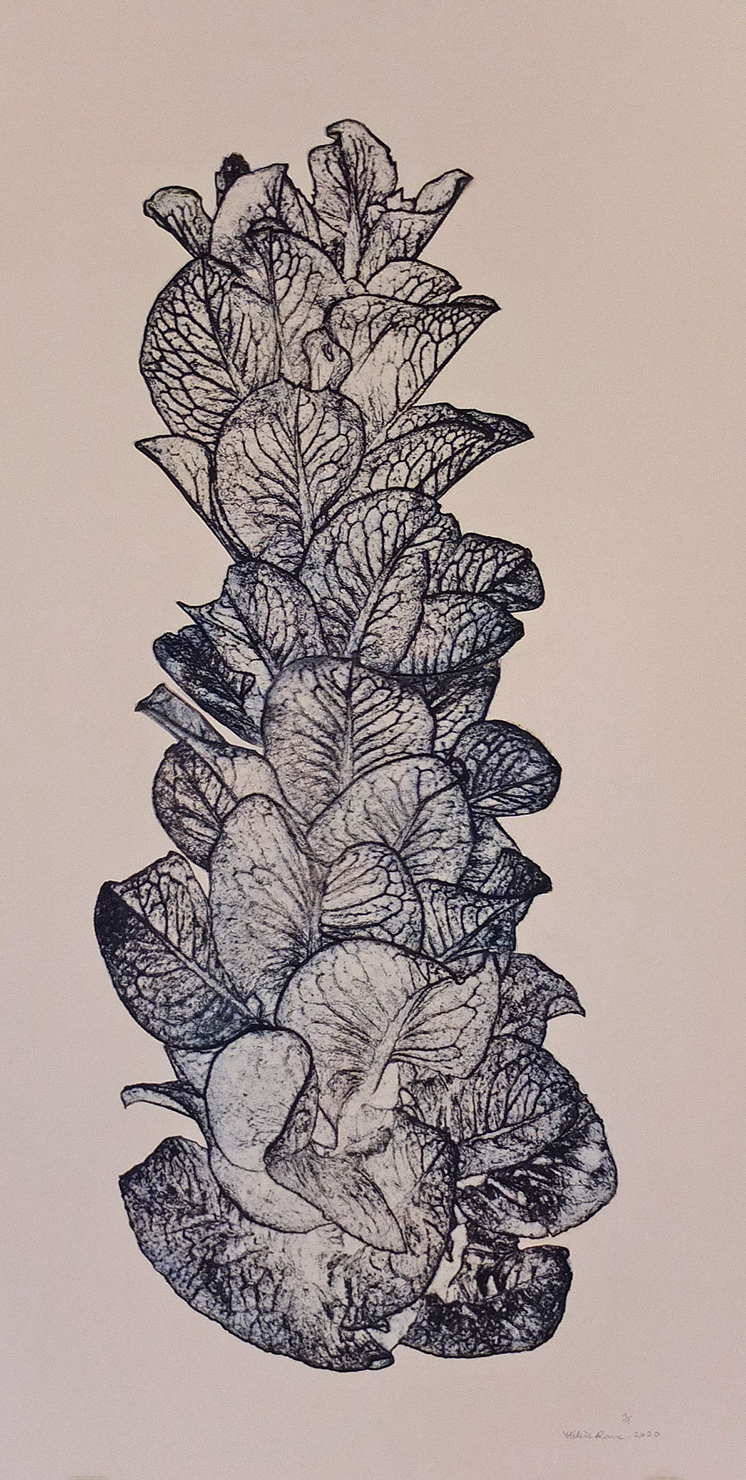 Salade montée / format 50cm x 100cm — Hélène Roux