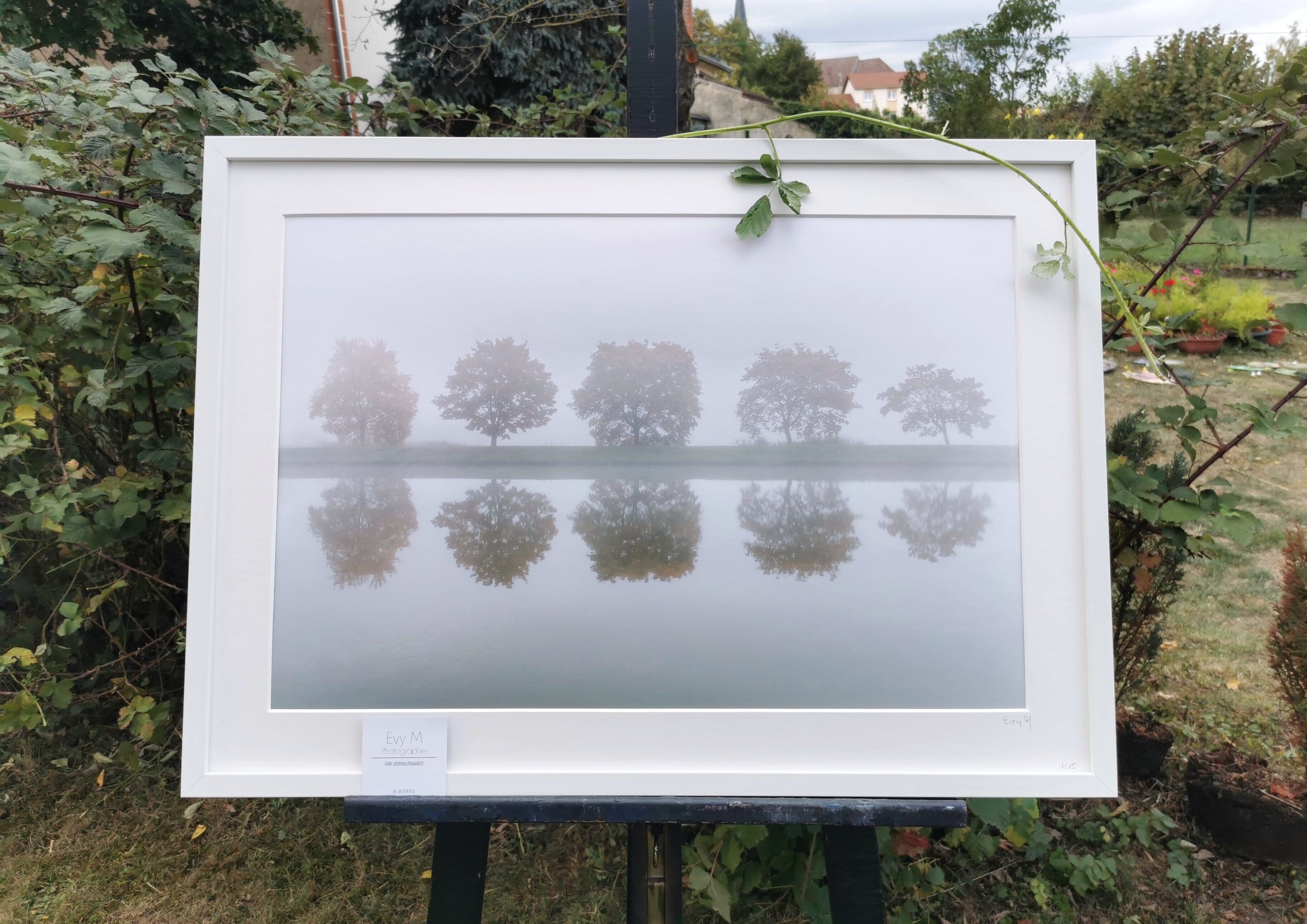 De la série « A pas feutrés » (jardins de Raville 2018) — Evy M