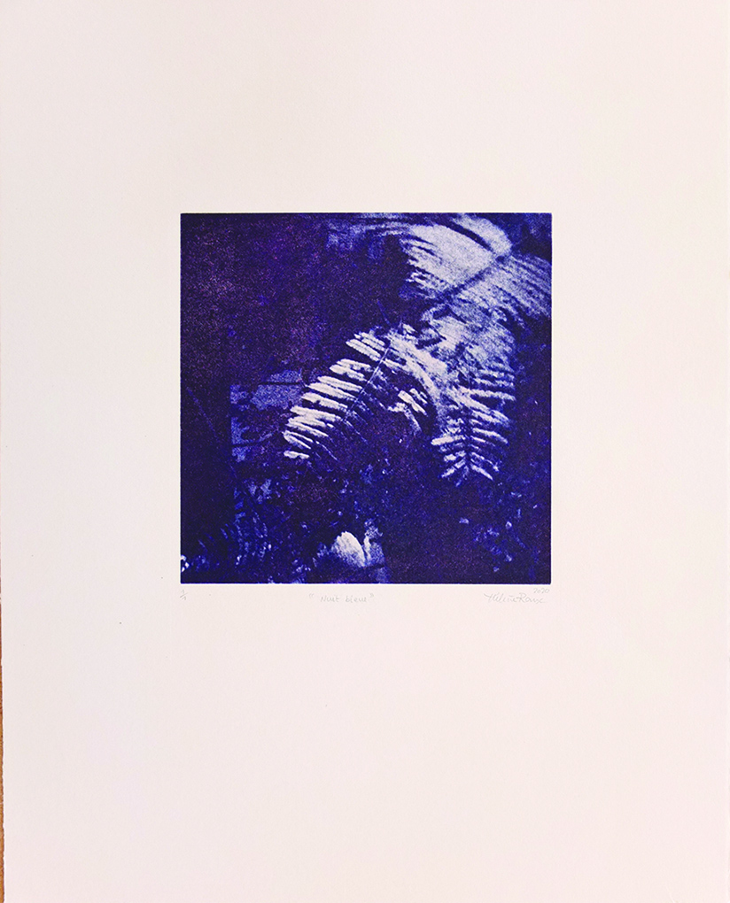 Nuit Bleue / format 40cm x 50cm — Hélène Roux